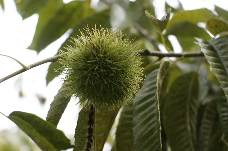DSC08271.JPG