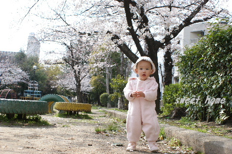 DSC00470.JPG