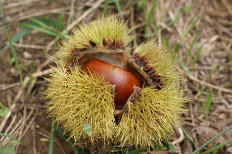 DSC08272.JPG