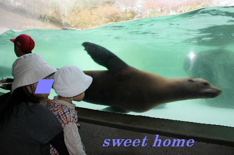 DSC02791.JPG