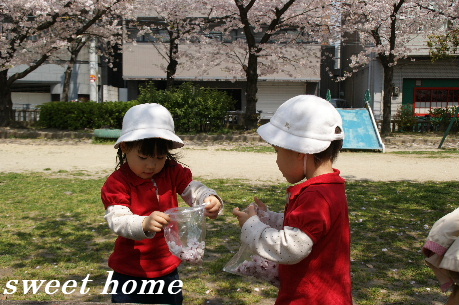 DSC06062.JPG