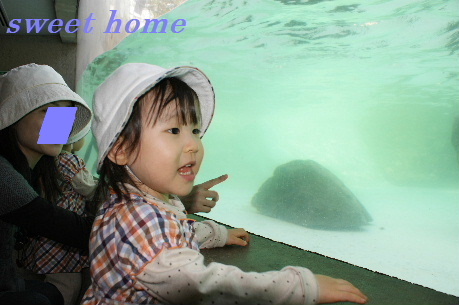 DSC02792.JPG
