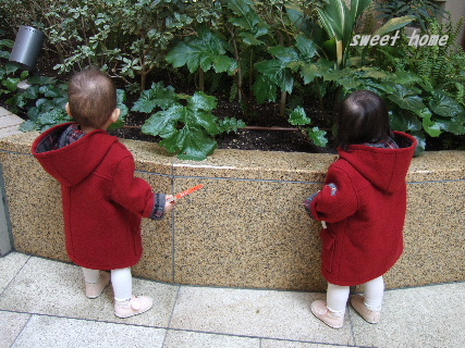DSCF4822.JPG