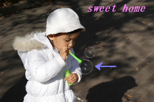 DSC09076.JPG