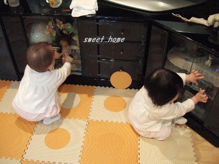 DSCF4718.JPG