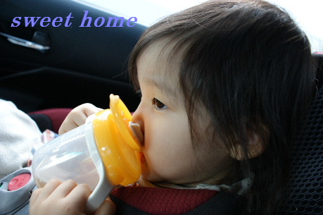 DSC02799.JPG