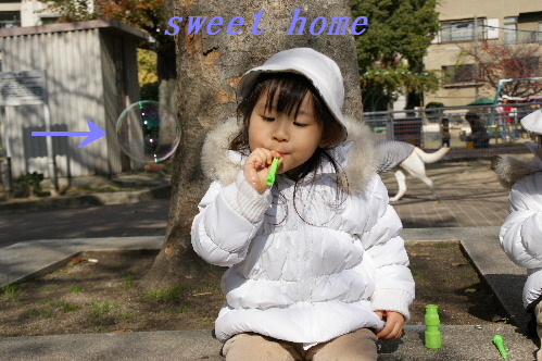 DSC09087.JPG