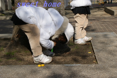 DSC09086.JPG