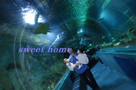 DSC01642.JPG