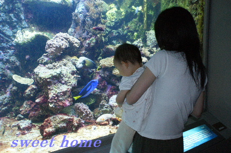 DSC01651.JPG