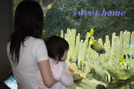DSC01655.JPG