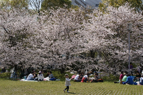 DSC00536.JPG