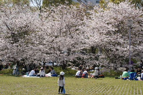 DSC00537.JPG
