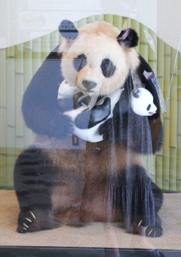 DSC01082.JPG