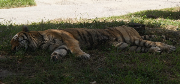 DSC01046.JPG