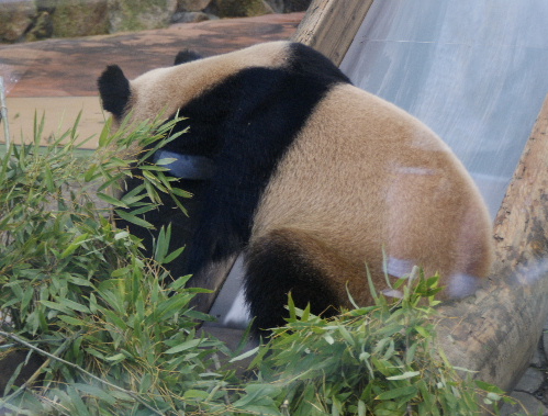 DSC01085.JPG