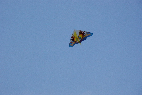 DSC09897.JPG