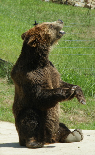 DSC01068.JPG