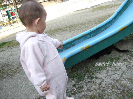 DSCF4848.JPG