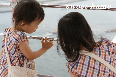 DSC07515.JPG