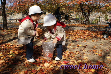 DSC03065.JPG