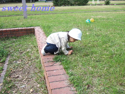 DSCF5429.JPG