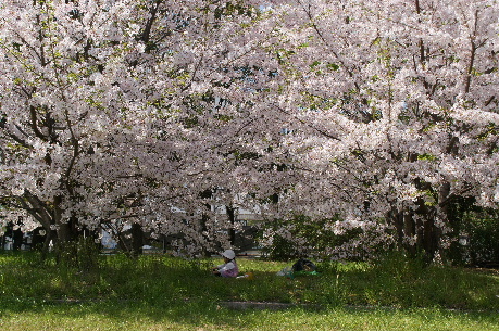 DSC06085.JPG