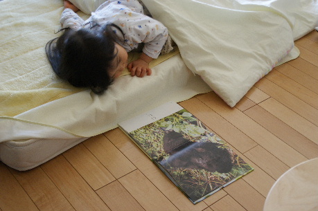 DSC09040.JPG
