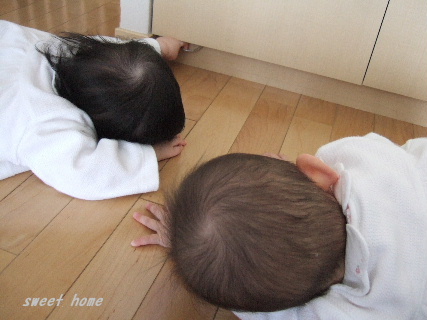 DSCF4583.JPG