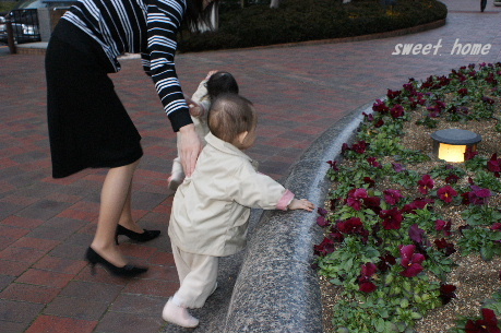 DSC00057.JPG