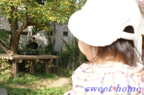 DSC02794.JPG