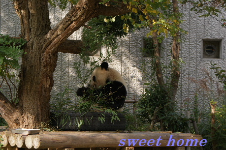 DSC02796.JPG
