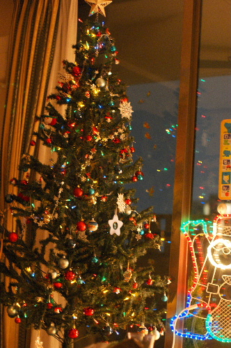 DSC09408.JPG