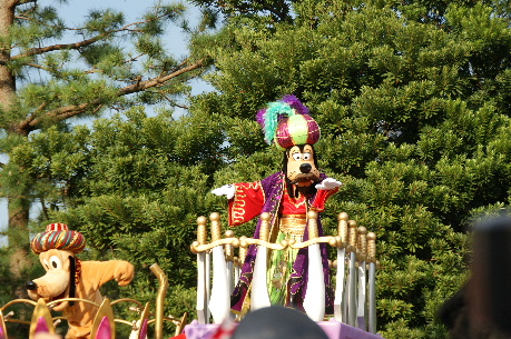 DSC08072.JPG