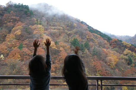 DSC08765.JPG