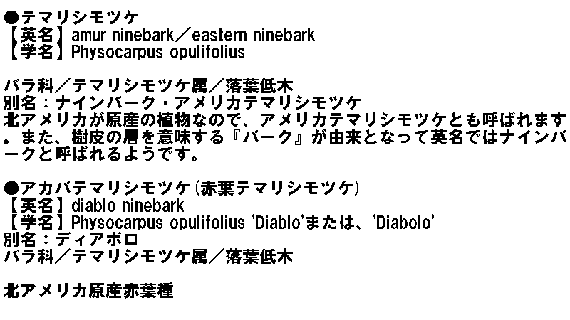 テマリシモツケ