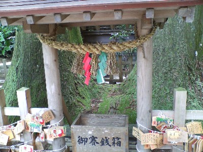 takatiho14
