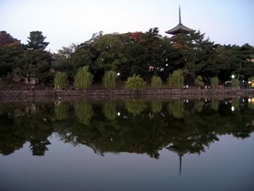 猿沢池からみた興福寺五重塔
