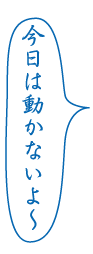 今日は動かないよ～