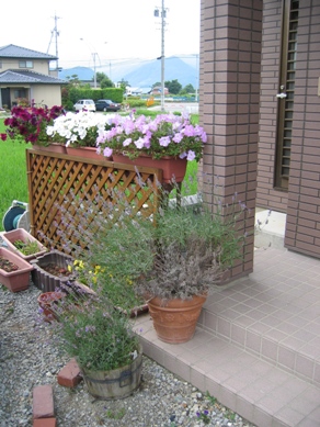 2003.7.10花壇8