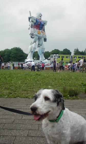 ガンダムね