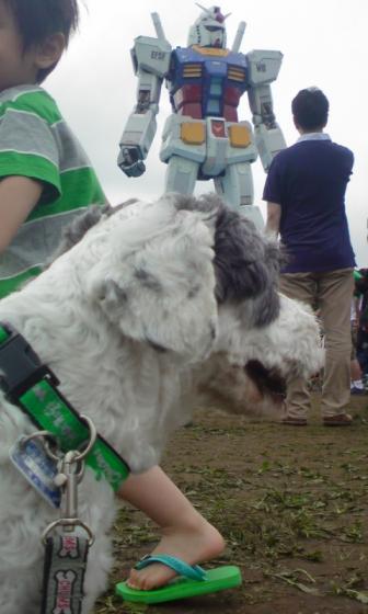 かっこいいのね