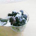 2005-11-07 01:33:55