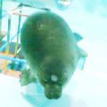 2005-11-05 13:44:14