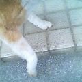 2005-11-05 13:44:14