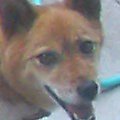 2005-11-05 13:45:32