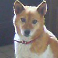 2005-11-05 13:45:53