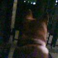 2005-11-05 13:46:31