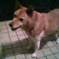2005-11-11 22:38:30