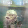 2005-11-05 13:47:26